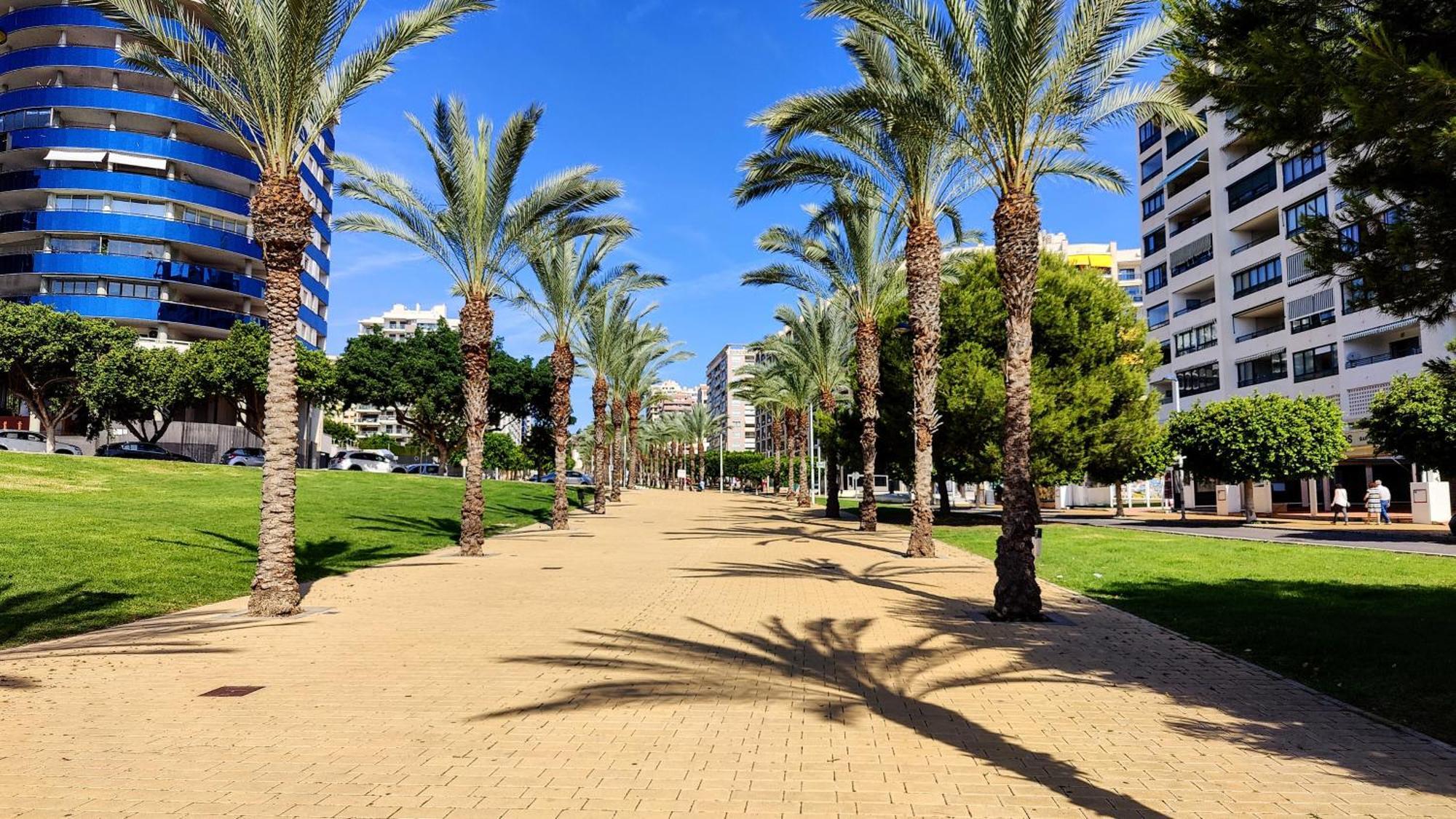 Cala Alta Relax Apartment Benidorm Ngoại thất bức ảnh